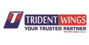 TRIDENT WINGS CORPORATE SERVICES PRIVATE LIMITED